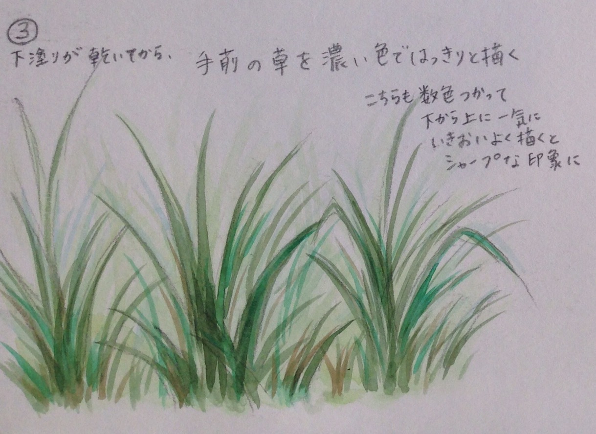 草の描き方 S S絵画教室